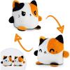Calico Cat