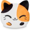 Calico Cat