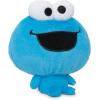 imageTeeturtle Cloudheads Katara Plush  5Inch Official Avatar The Last Airbender Stuffed Animal with Embroidered Details  Soft Cuddly Plush Toys for Kids Teens and AdultsSesame Street  Cookie Monster