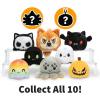 image:imageTeeTurtle  Reversible Plushie Mystery Boxes  HalloweenOne Mystery Box